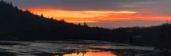 Lauren Mancini-Averi banner