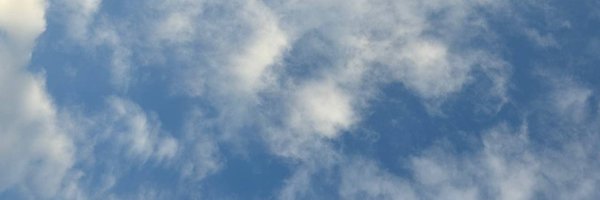 1qt_exe Profile Banner