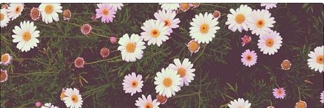 windeeeeh's profile banner image