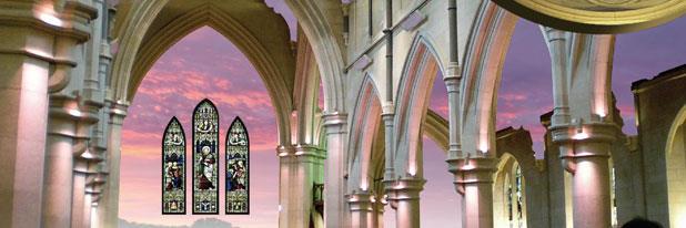 KT Possum🇺🇦🇳🇿🍀🌻⚖ banner