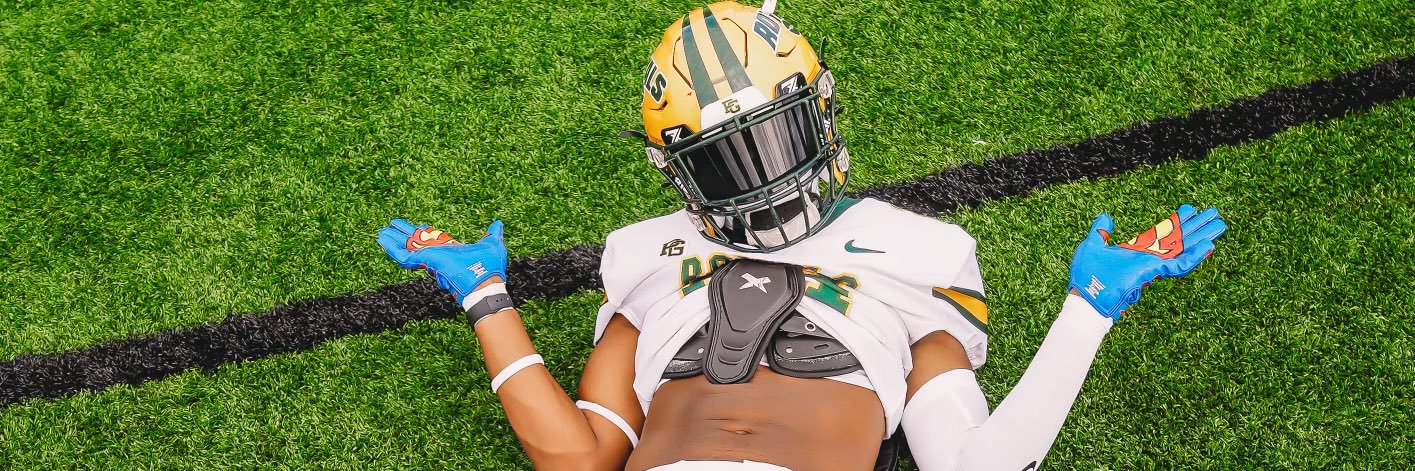 Handsome “King” Starks banner