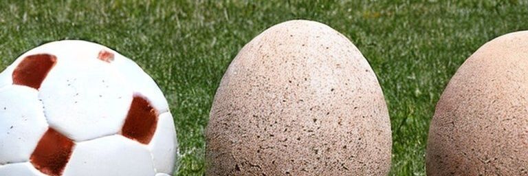 gunnerdactyl's profile banner image