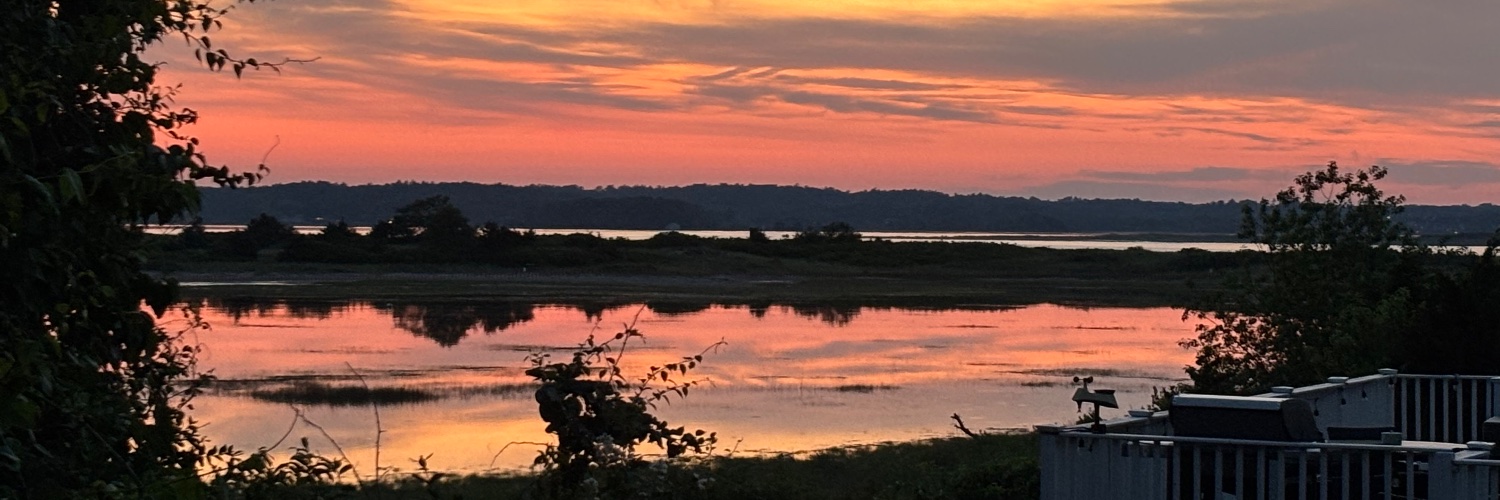 Michael Emilio banner