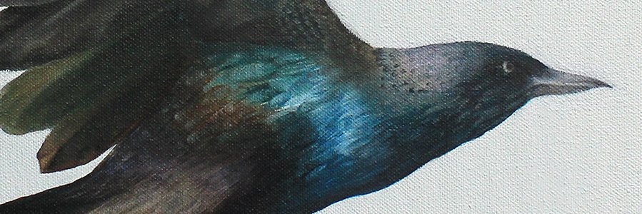 Danielle_Artist's profile banner image