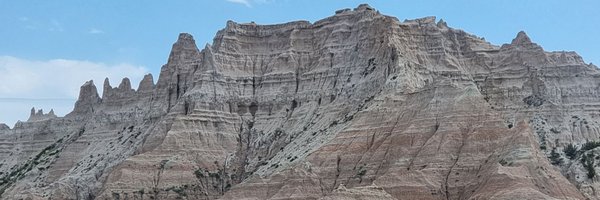 Nemeina Profile Banner