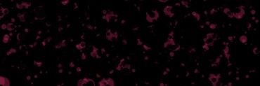 Cherry🔞 banner