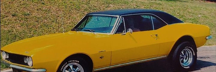 Everyone banner