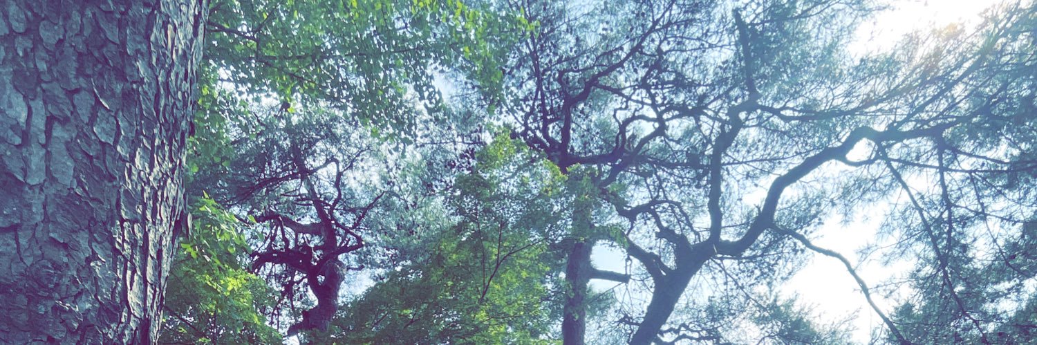 drop_ak0113's profile banner image