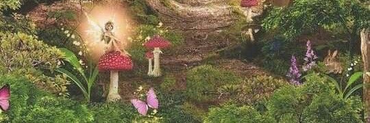 DelfiMusso's profile banner image