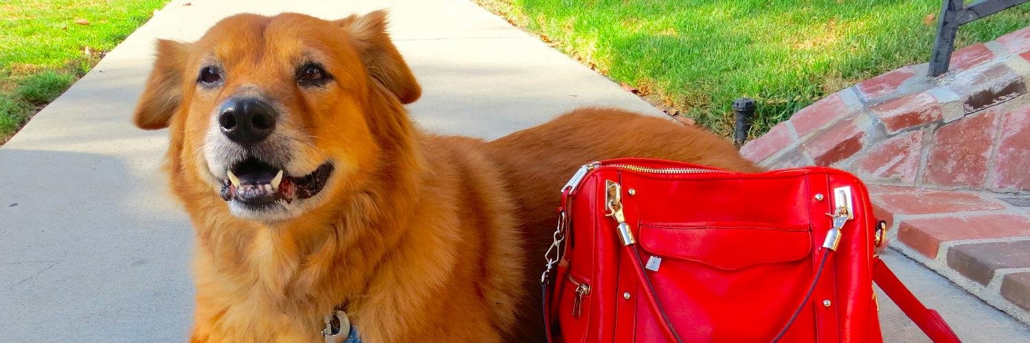 hello_handbag's profile banner image