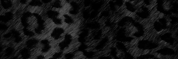 xoxalise's profile banner image