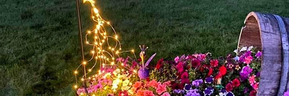 Trish42431's profile banner image