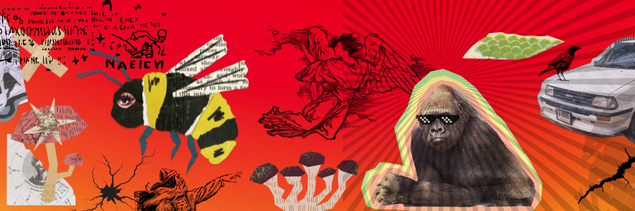 chirojo banner