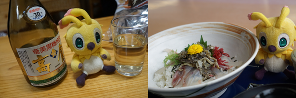 KamoLife Profile Banner