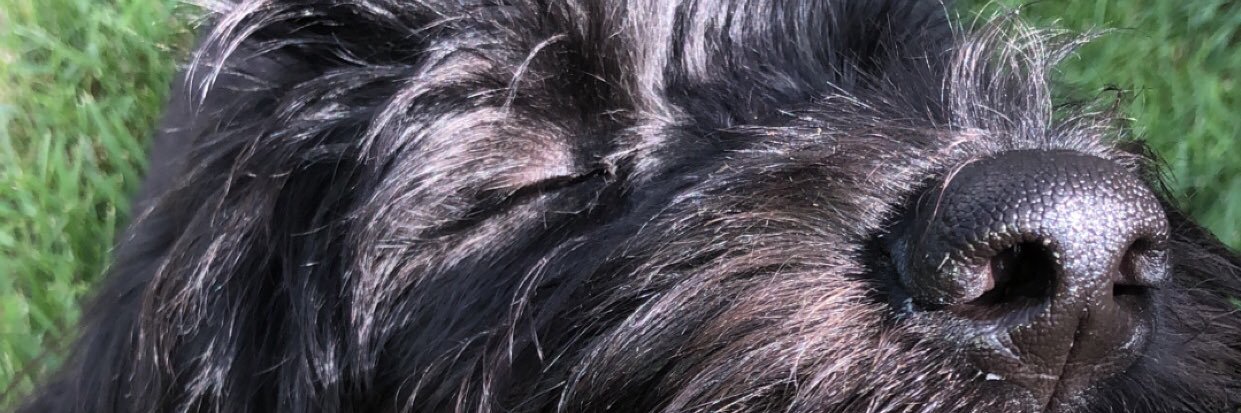 evecabreraaa's profile banner image