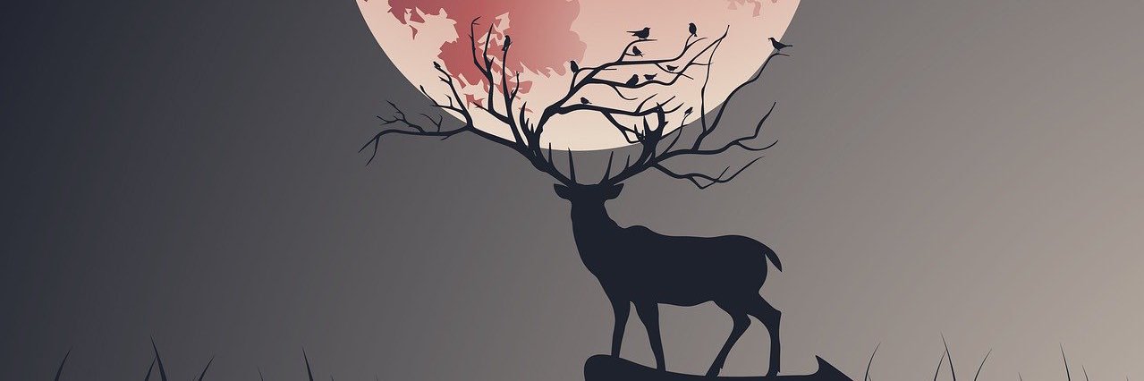 Buckmoon_19's profile banner image