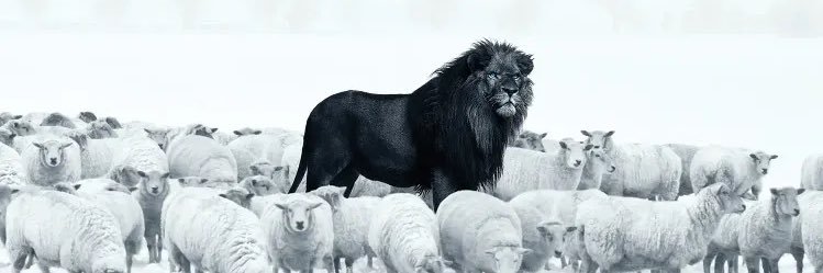 Augy_09's profile banner image