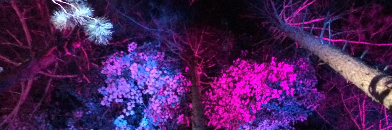 Joe_Mama420's profile banner image