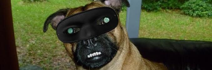 First Coast News banner