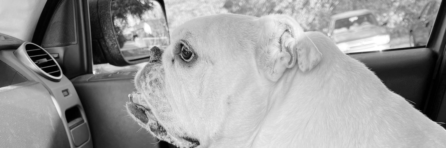 peaece13's profile banner image