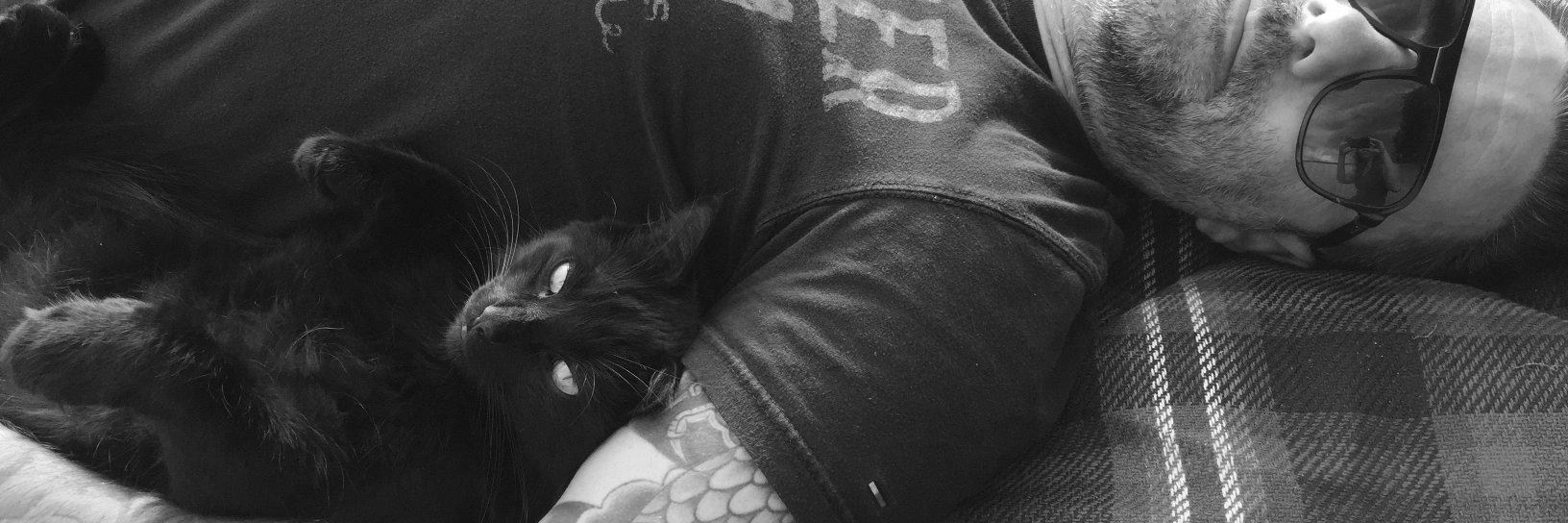 LeddyMetal's profile banner image