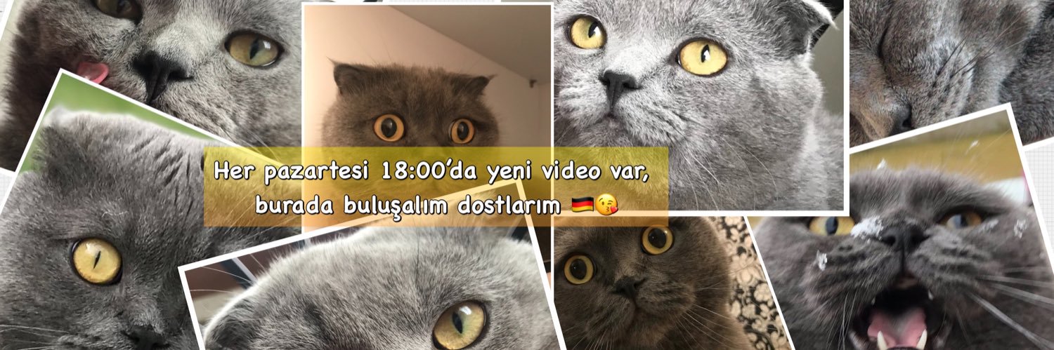 burakcemo_de's profile banner image