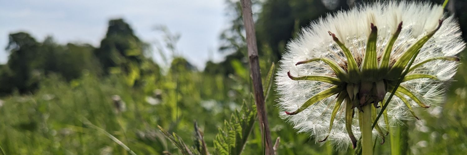 Oonagh Jaquest banner