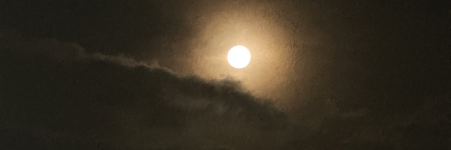 RL Enstein banner