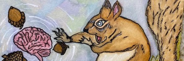 The MAGDA RAKOSI award winning Squirrel banner