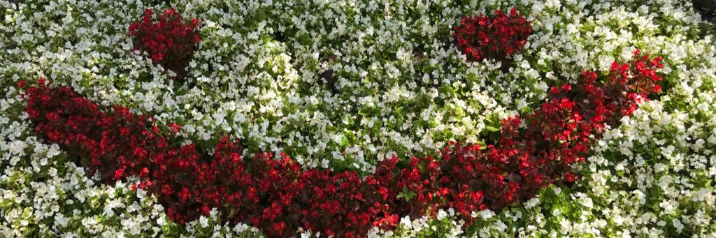 _kelbymarie's profile banner image
