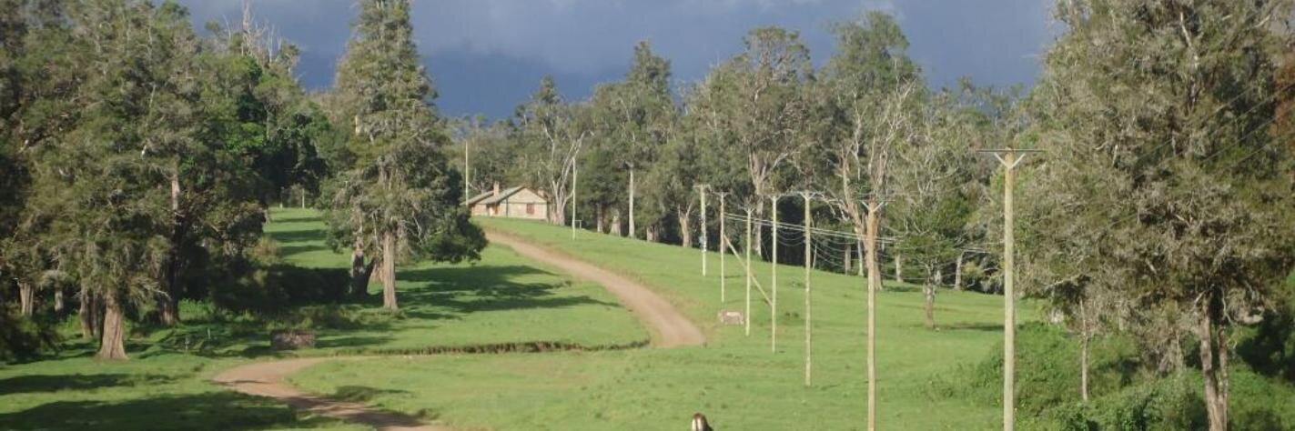 KwsMtkenya's profile banner image