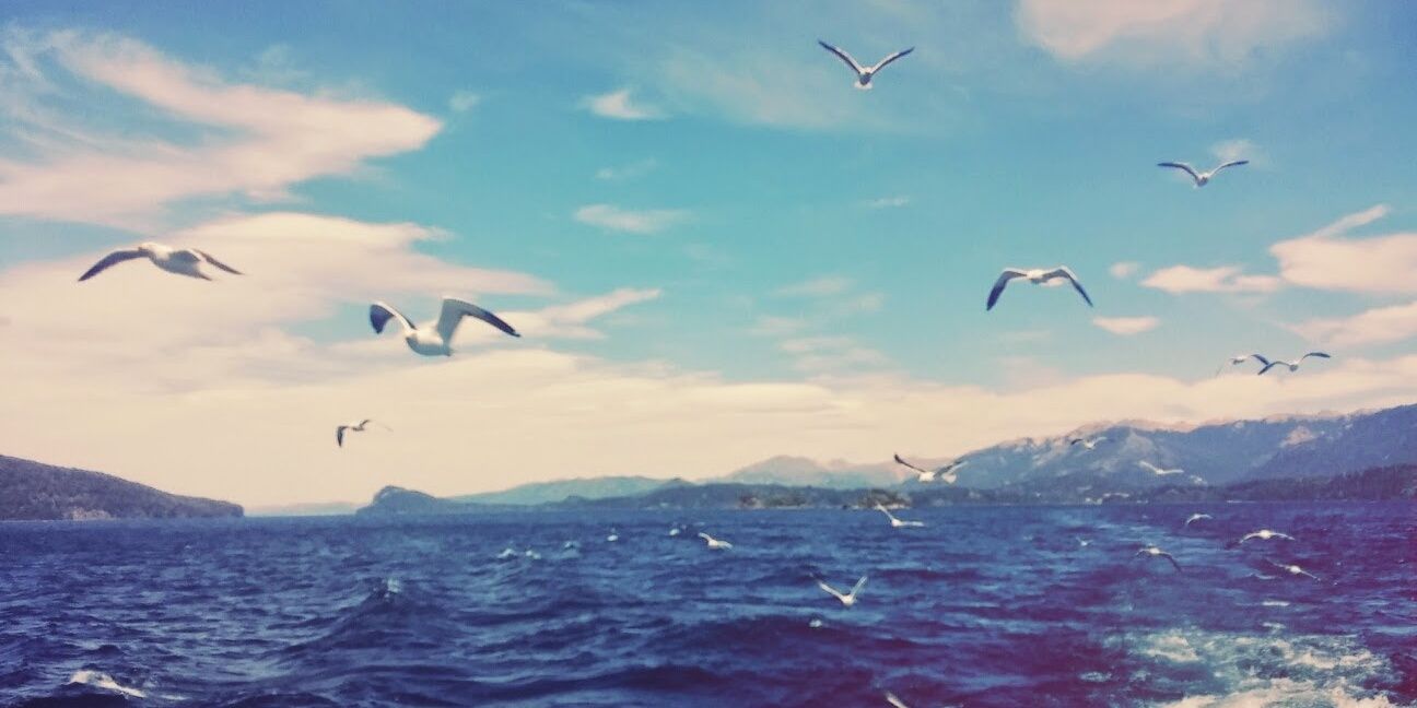 _guiyo's profile banner image