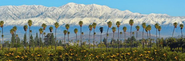 DrMScribner Profile Banner