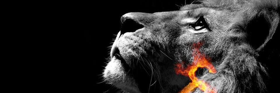 nulas's profile banner image