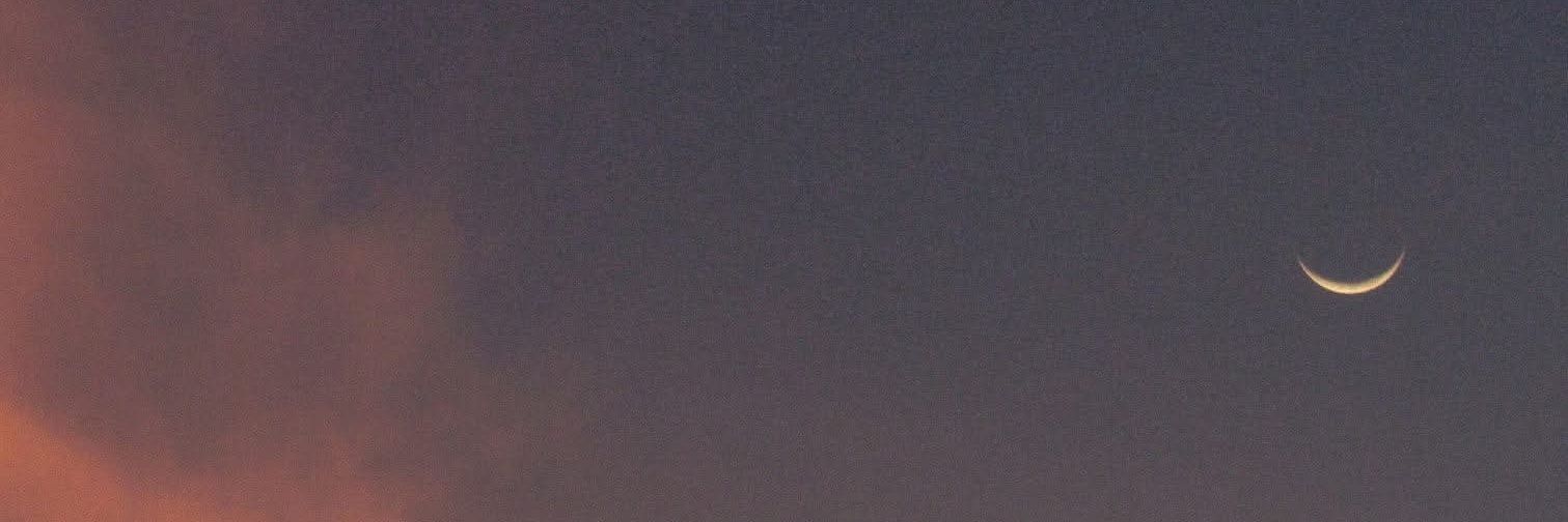 weduardo_'s profile banner image