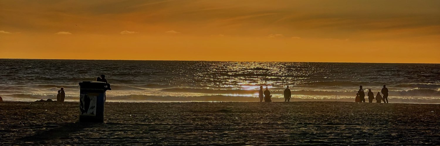 timacollier's profile banner image