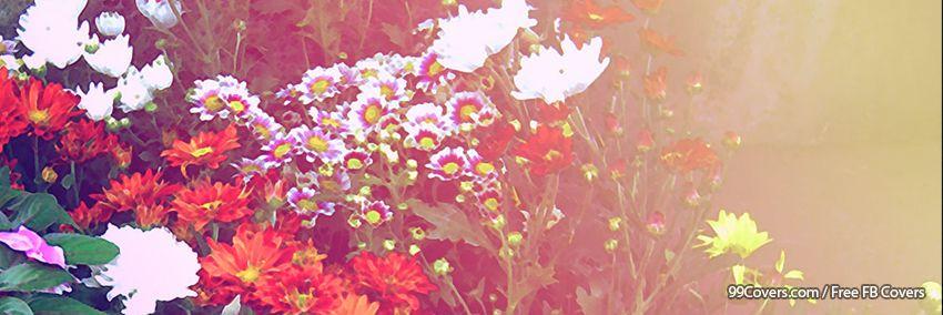 UrMzD's profile banner image