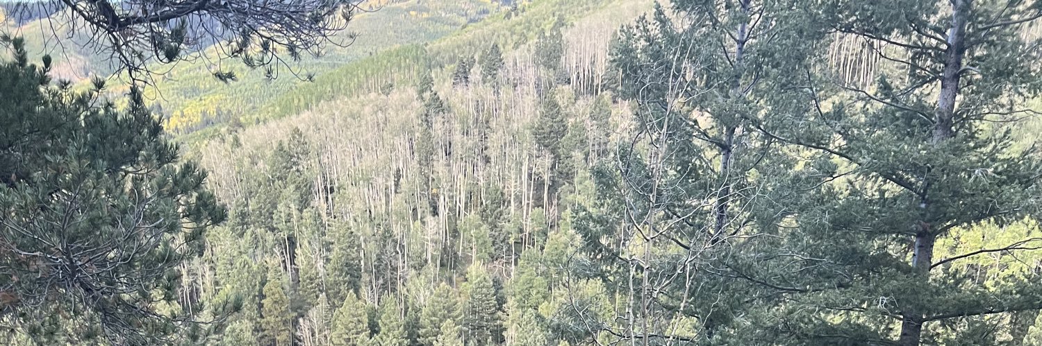 IP_Consultant banner