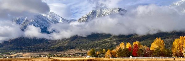 Matt_Sheffield_ Profile Banner