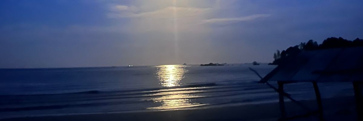SelJJW's profile banner image