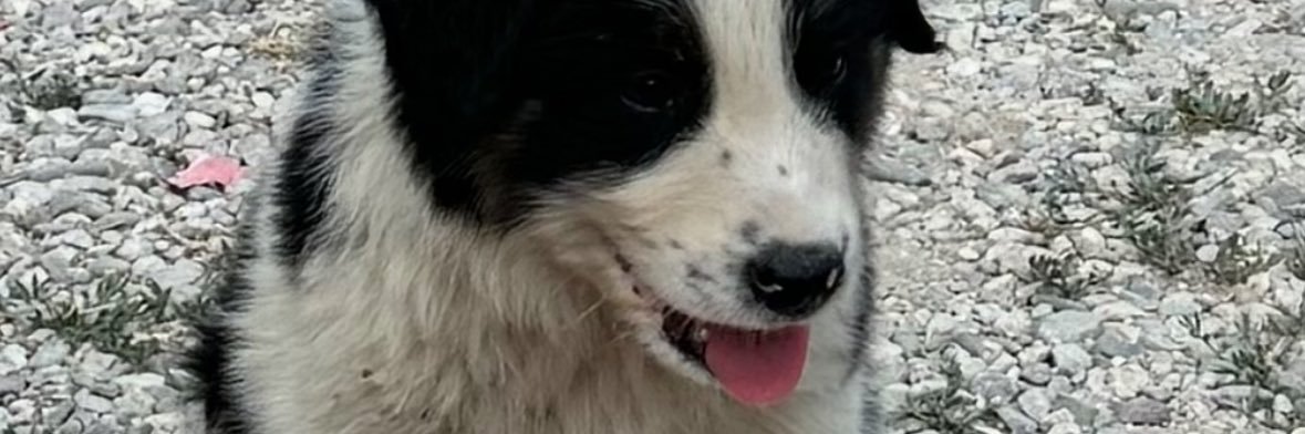 xtiiffoh's profile banner image