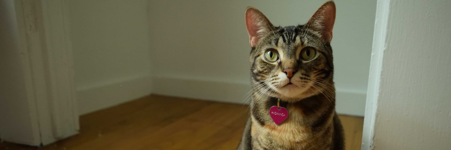 mmonzerratt's profile banner image