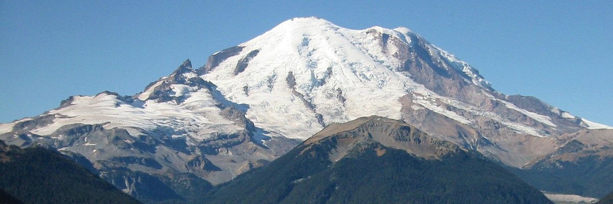 tree___beard's profile banner image
