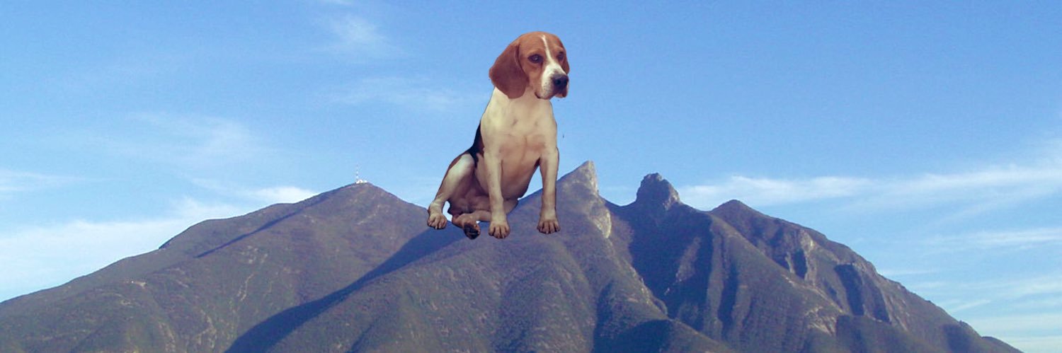 Beagleregio's profile banner image