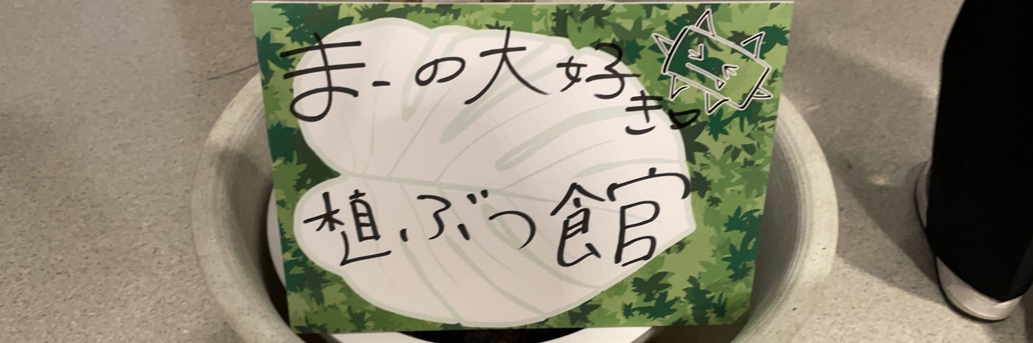 NimMorning's profile banner image