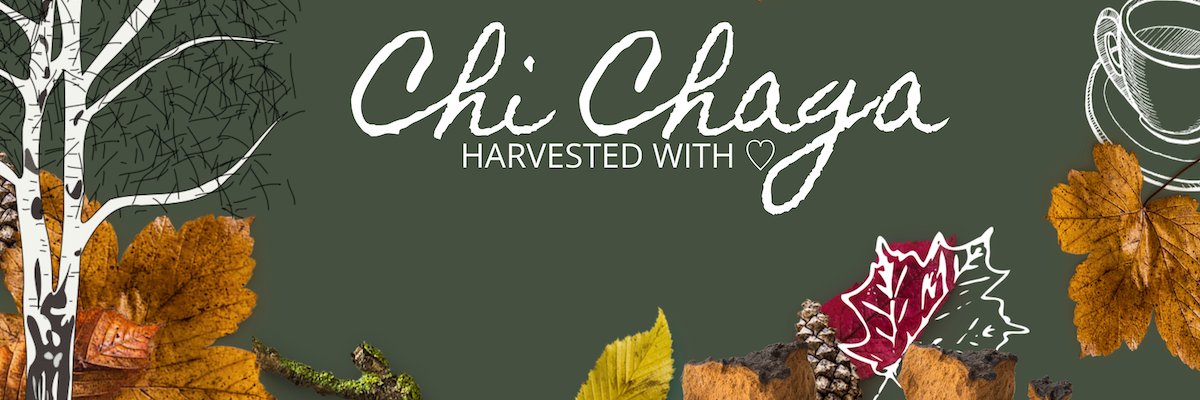 wildchaga's profile banner image
