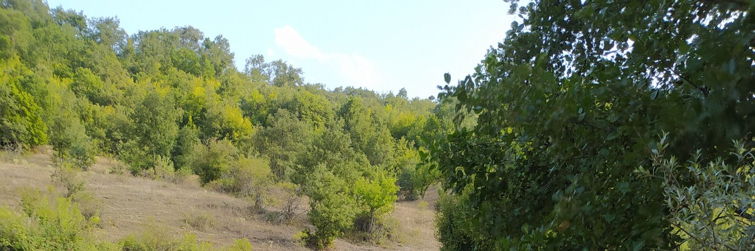hpasaPolat's profile banner image