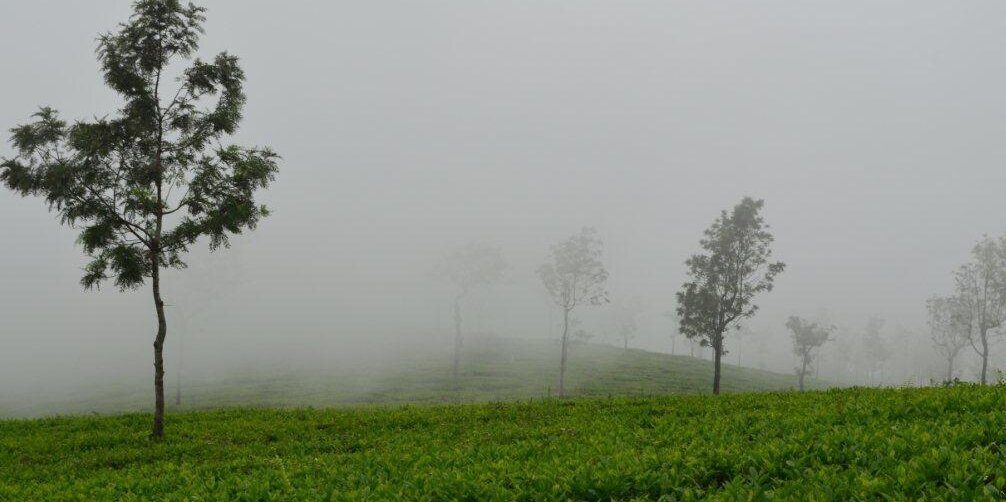 Ramya1206's profile banner image
