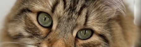 Danysw09's profile banner image