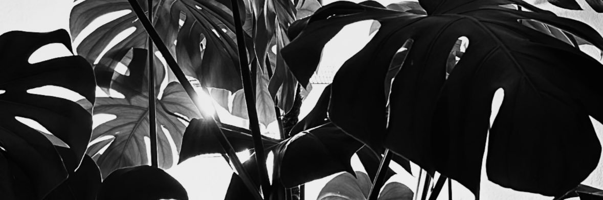 AristotleGreen's profile banner image